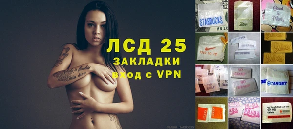 гидра Наволоки
