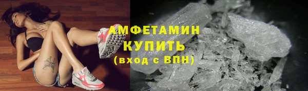 гидра Наволоки