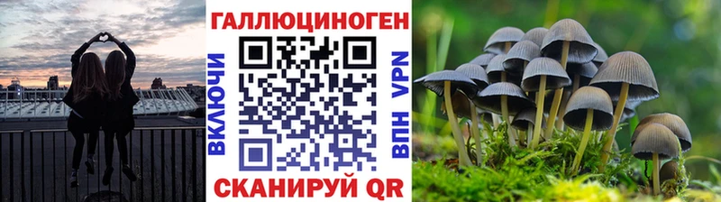 Галлюциногенные грибы Magic Shrooms  Купить  Северобайкальск 